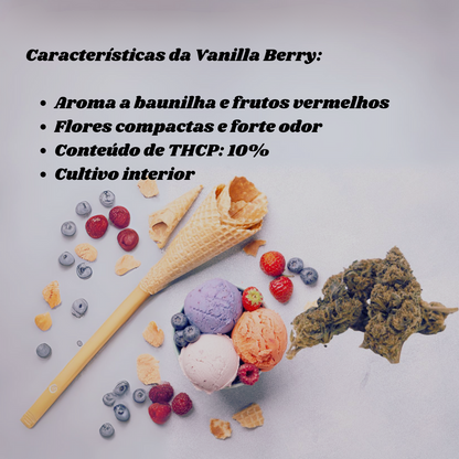 Vanilla Berry THCP - THCP - Flores de CBD - Flores THCP - Cânhamo - Erva - CBD - Canábis - Cannabis - WeedZone